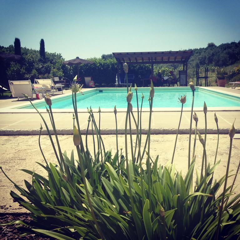 Il Borghetto Andrea Tafi Guest House Лампорекио Екстериор снимка