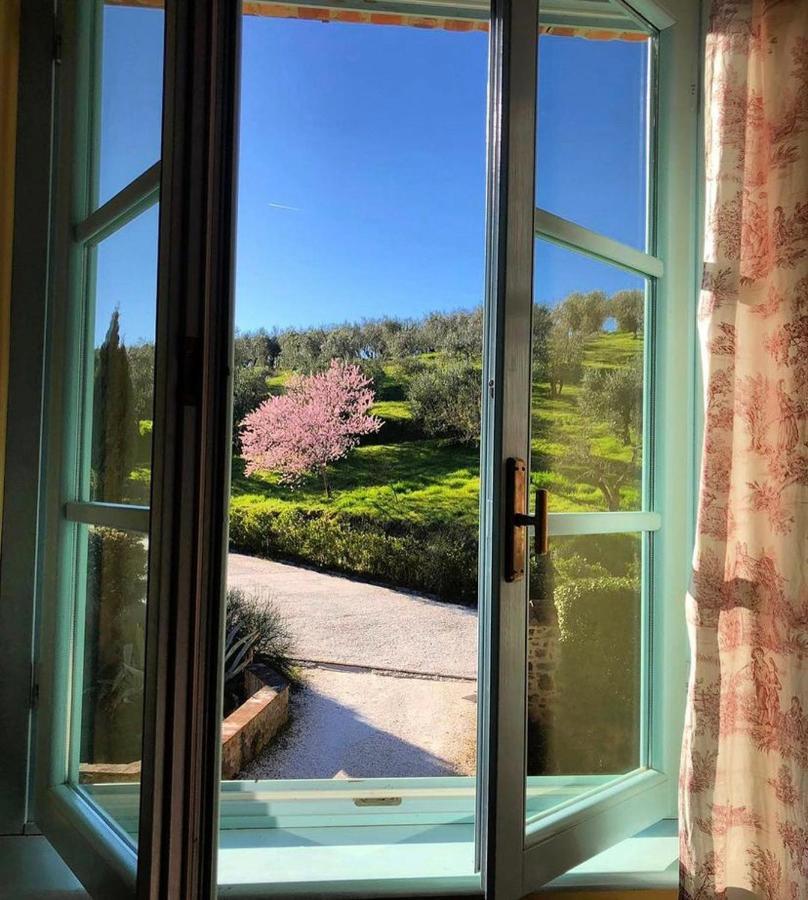 Il Borghetto Andrea Tafi Guest House Лампорекио Екстериор снимка