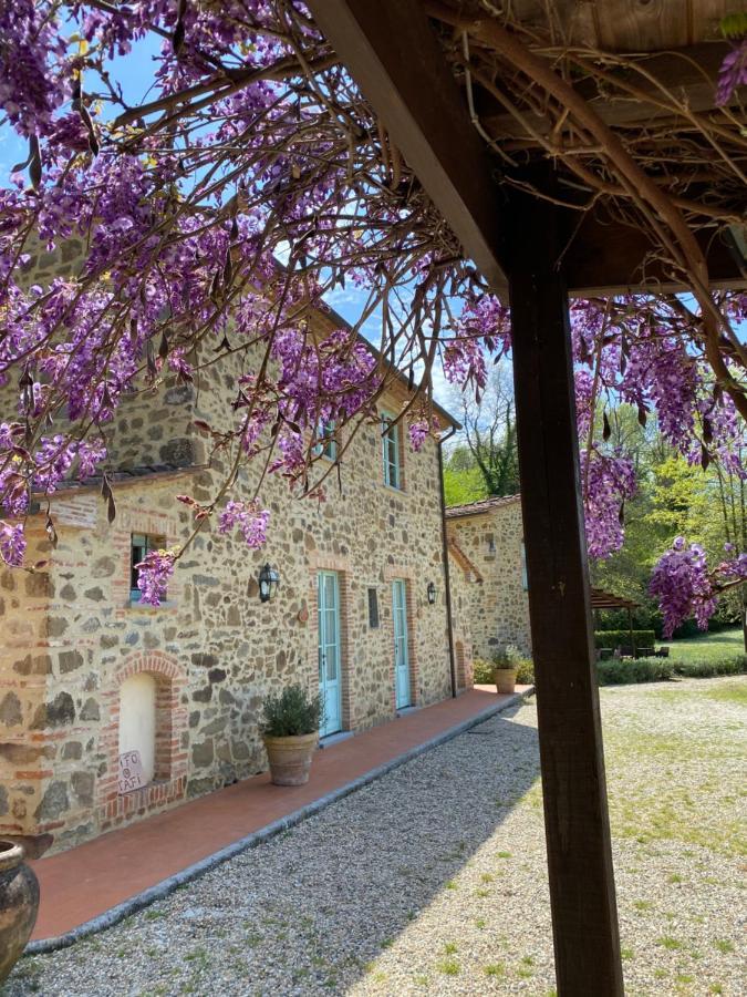 Il Borghetto Andrea Tafi Guest House Лампорекио Екстериор снимка