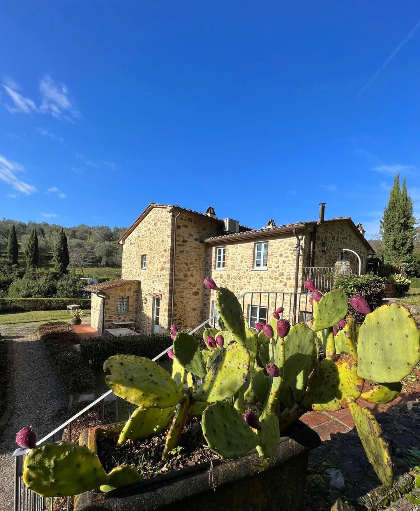 Il Borghetto Andrea Tafi Guest House Лампорекио Екстериор снимка